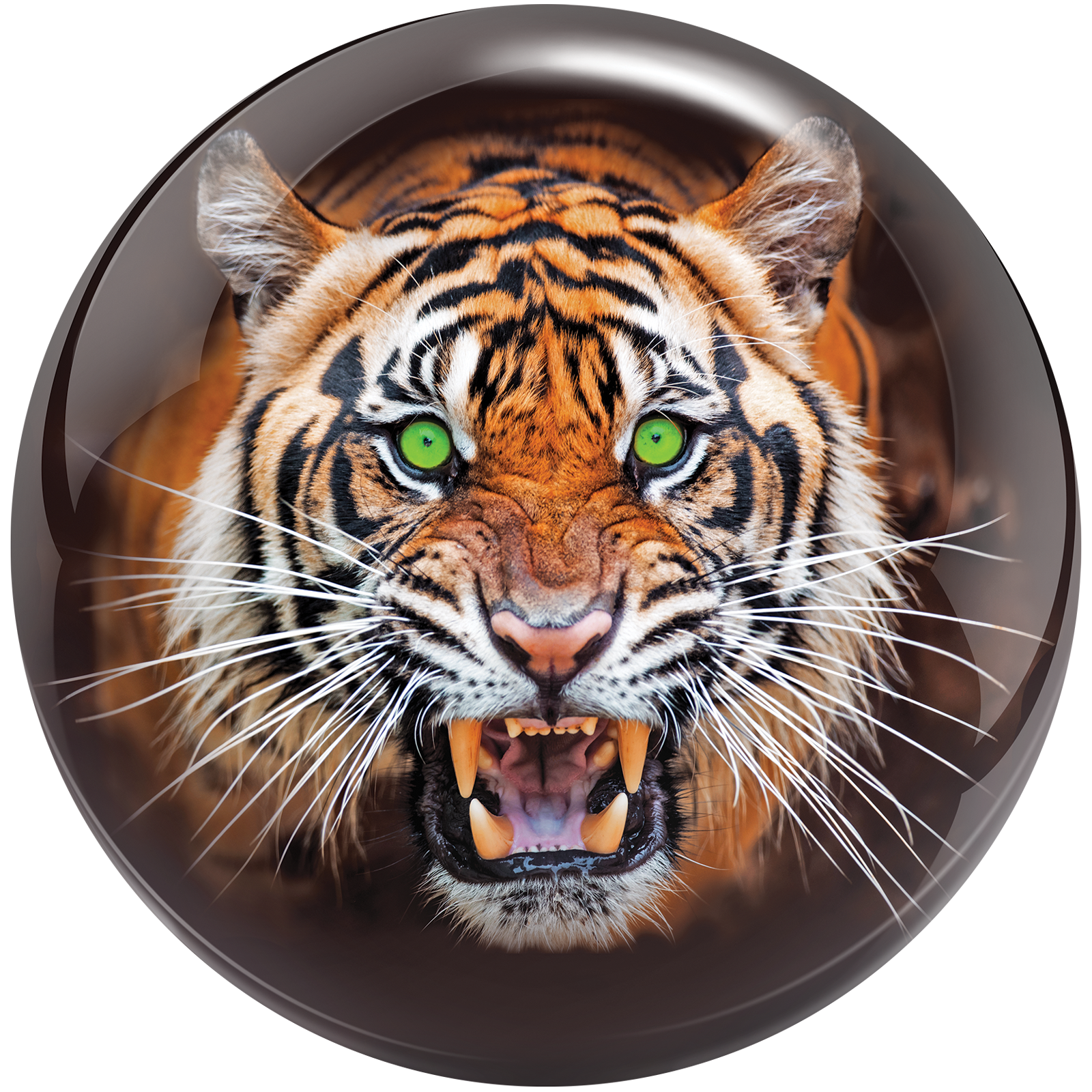 Tiger | Brunswick Bowling