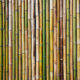 Bamboo 1220x1220, for Bamboo (thumbnail 1)