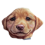 Dog Grip Sack