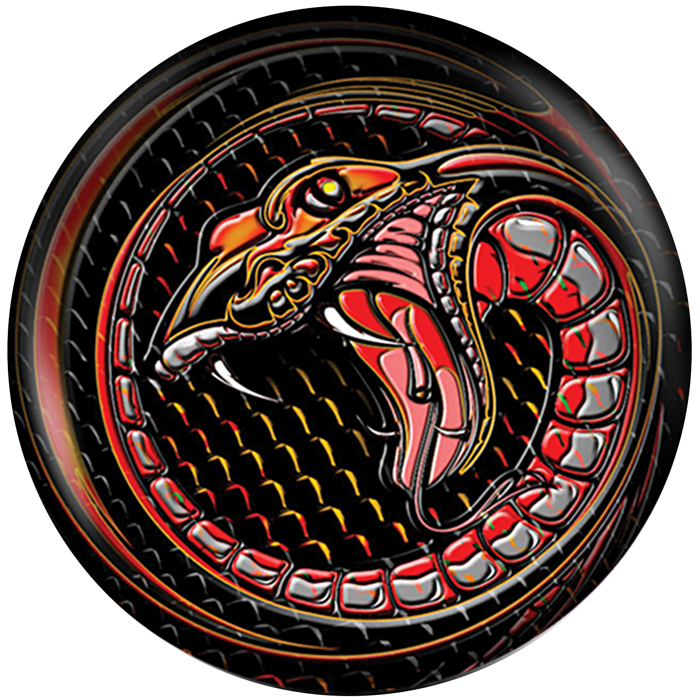 Back of Snake Viz-A-Ball