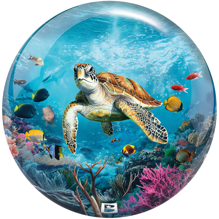 Viz A Ball Sea Turtle 2026 Bottom 1600x1600