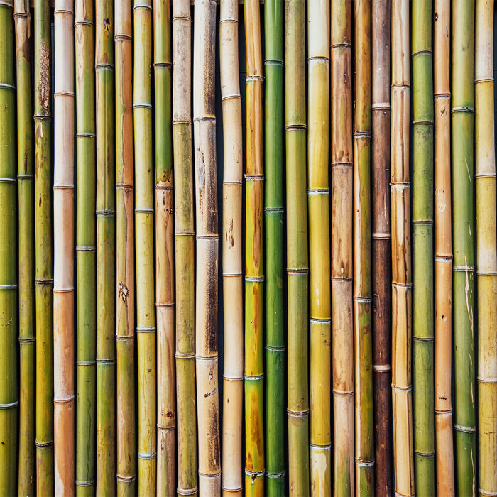 Vertical arrangement of natural bamboo stalks in varying shades of green, tan, and brown, showing organic texture and color variation.