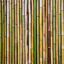 Vertical arrangement of natural bamboo stalks in varying shades of green, tan, and brown, showing organic texture and color variation.